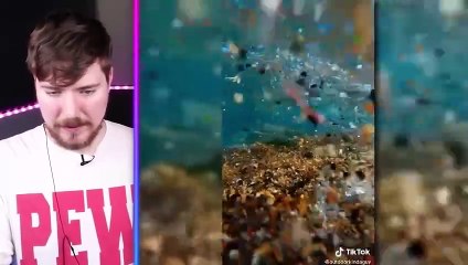 World's Most Viewed TikToks by Mr beast