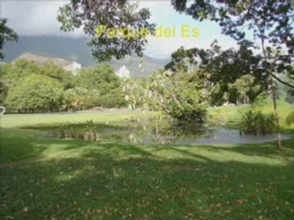 Caracas, enero 2008