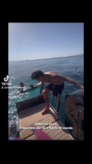 cerchiamo di fare serf