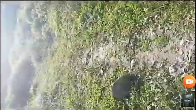 فضيحة في جبال شوفو تونس وين وصلت بينا