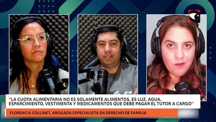 “Actualmente 7 de cada 10 progenitores no cumplen con la cuota alimentaria de manera total o parcial en Argentina”