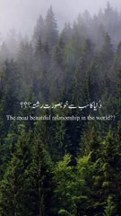 VID-20240731-WA0017