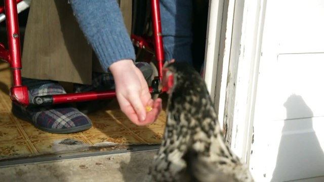 NDIS participants with more than one disability struggling to get correct funding