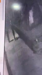 Cámaras de seguridad captan el momento del ataque a Mueblería "El Tigre"