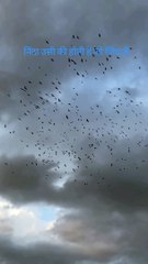 Good vichar : निंदा उसी की होती है जो जिंदा होता है