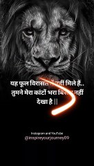 Lion . . .️‍♀️|| #attitude #motivation #whatsappstatus #respect #lion