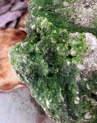 |HABIB ARIEL CORIAT HARRAR | BENEFICIOS PARA LA SALUD PÚBLICA (PARTE 2) (@HABIBARIELC)