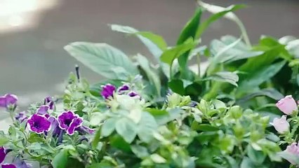 The Sleepless Princess E4 Hindi RV Drama