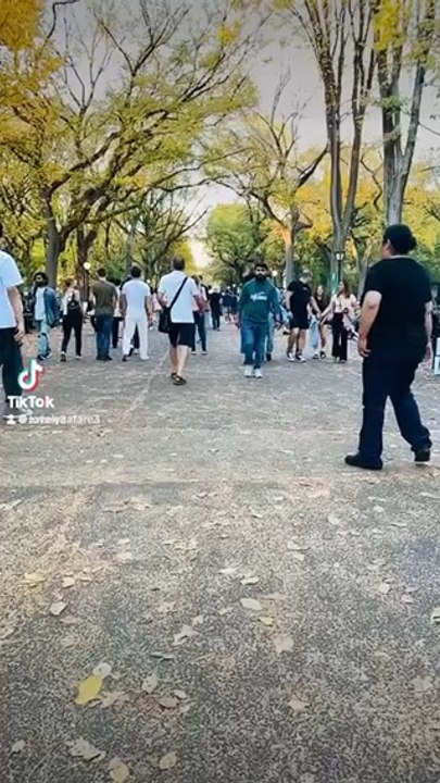 Here’s my latest video