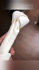 Funny animals 2023 - Funniest Cats and Dogs Video192 #shorts