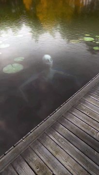 Fancy a swim shorts horror cursed scary creepy