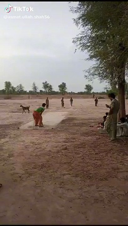 Funny video