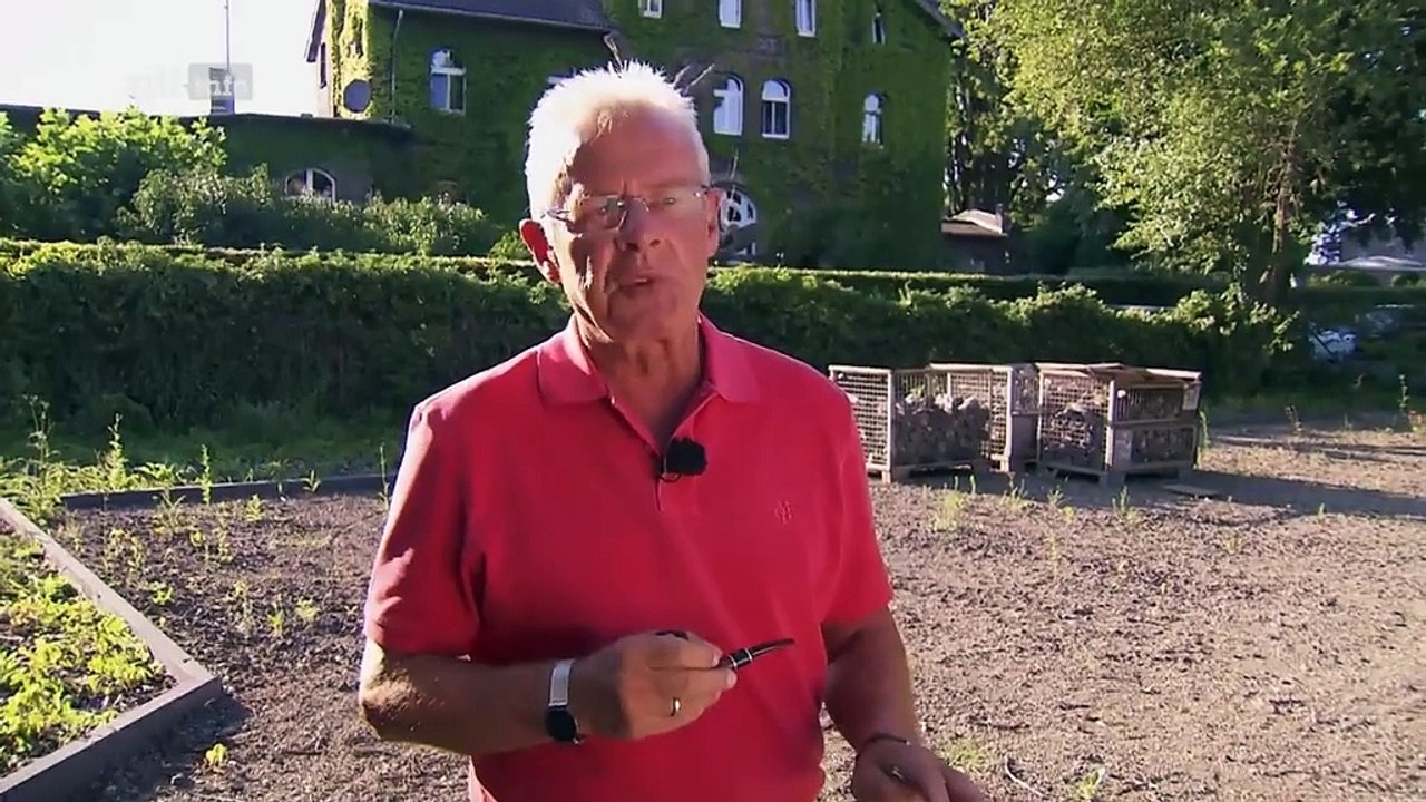 Ermittler!-Im Dunkel der Nacht