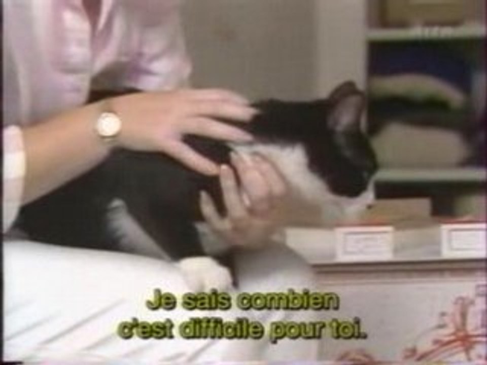Chat