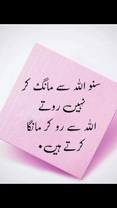 بلکہ اللہ سے رو کر مانگتے ہیں ❤️#trending#viral#shorts#islamic#foryou#dailymotion#share