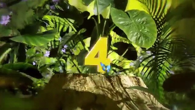 Wonders of Amazon jungle| 5 unsolved mysteries| Documentary facts