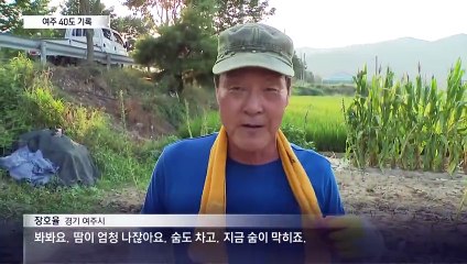 여주 낮기온 40도…온열질환 추정 사망 11명