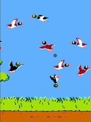 Duck Hunt Classic Game