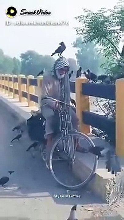 Funny video