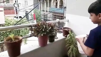 My daily routine with kid's || My kid's routine in summer|| گرمی کی چھٹیوں میں بچوں کی روٹین