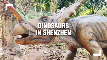 We Were SHOCKED To Find Dinosaurs in Shenzhen!
