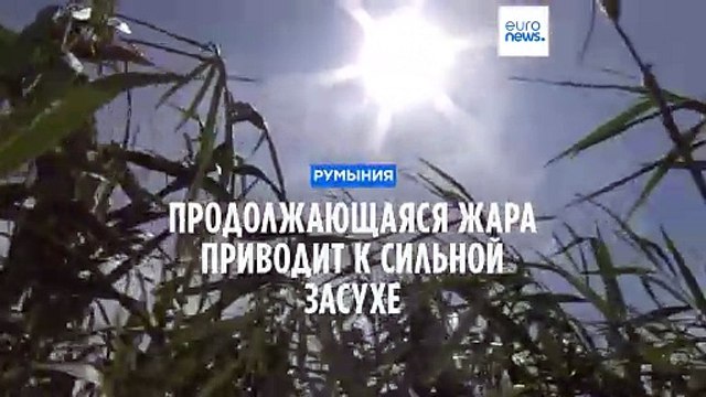 Из-за непрекращающихся волн жары и засухи в Румынии исчезают озера