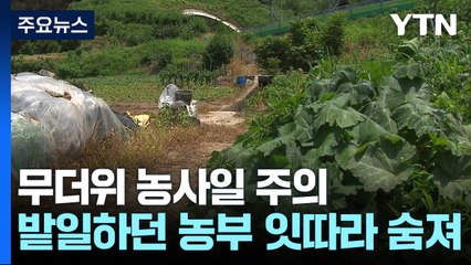 불볕더위에 경남서 밭일하던 농부 잇따라 숨져 / YTN