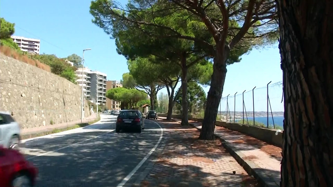 Rtp Telegiornale 4 agosto 2024