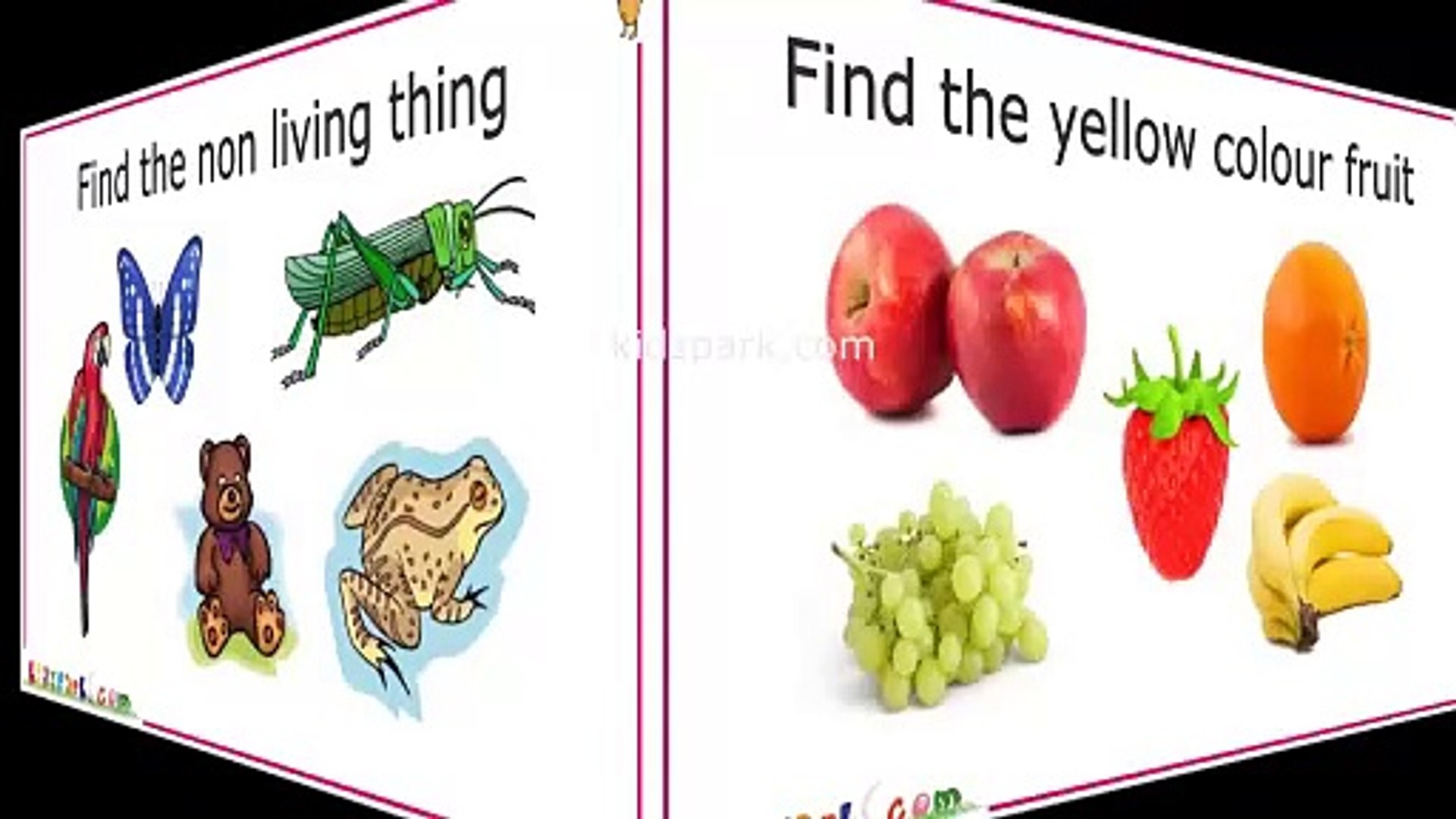 ⁣Kids IQ _ General Knowledge Questions_ Educational Video for Kids _ Part 1
