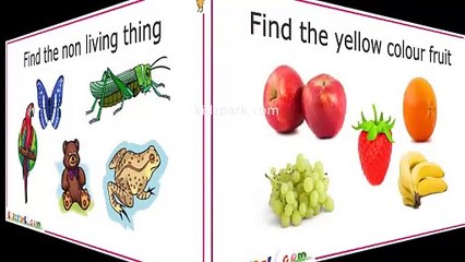 Kids IQ _ General Knowledge Questions_ Educational Video for Kids _ Part 1