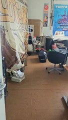 Empoli, ladri nella sede dell'associazione Ludicomix