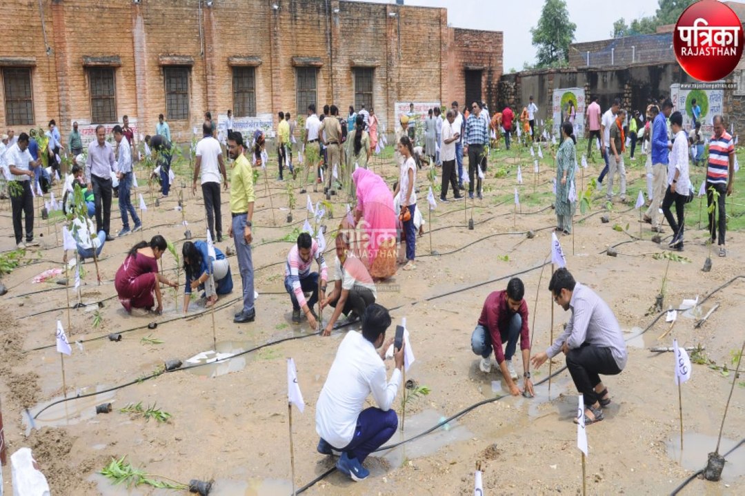 Hariyali Amavasya : शहर को हरा-भरा बनाने की पहल, 5 हजार पौधे लगाए
