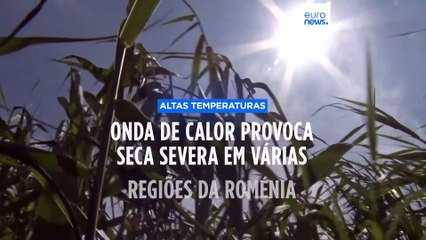 Onda de calor provoca seca severa em várias regiões da Roménia