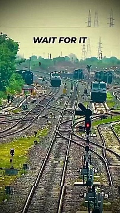 Snake train #train #snake #new #today #viral #trending #latest #viralreels #trendingreels #viralvideos #trendingvideos