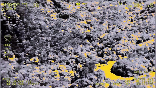 Bombeiros retomam buscas na Serra do Mar