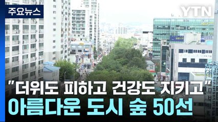 [날씨] "더위도 피하고 건강도 지키고"...아름다운 도시 숲 50선 / YTN