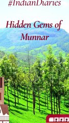 Hidden Gems To Discover In Munnar