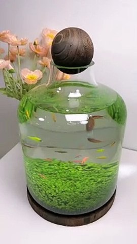 How to Make 3 feet Aquarium at Home - How to make fish tank at home