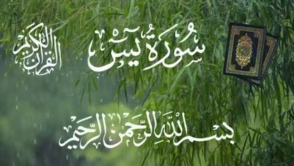 Surah Yaseen Tilawat (Surah 36) | Quran Recitation | Relaxing & Spiritual Recitation | سورة يسين