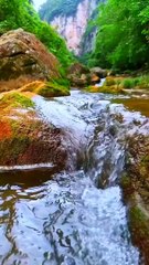 Water walking beautiful #beautiful #scene #beauty #natiralbeauty933