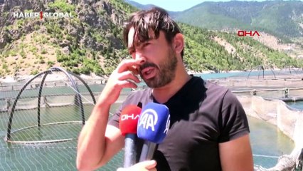 Ayının barajda yüzerek ulaştığı kafesten balık avı kamerada