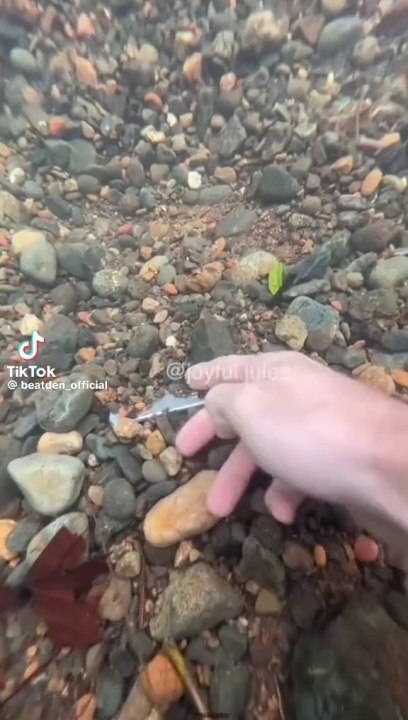 Hidden things under water #shorts #tiktokvideos