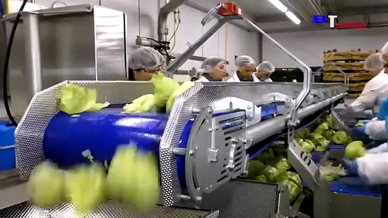 This is How Lux Soap is Produced in The Factory, Modern Food Processing Plant, Wool Harvesting Skill