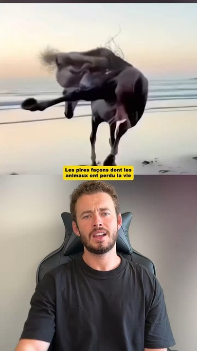 Les pires façons dont les animaux ont perdu la vie
