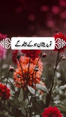 Holy Quran verses #turjmatulQuran #islamistics #love #religioustext #viralshorts