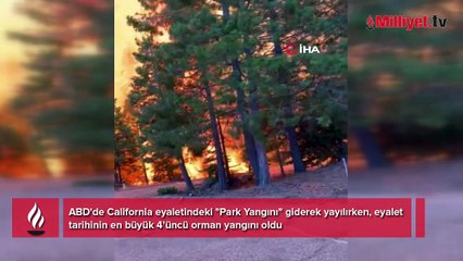 Tarihinin en büyük 4. orman yangını! California'da 400 bin dönümden fazla alan kül oldu
