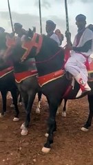 عشاق التبوريدة