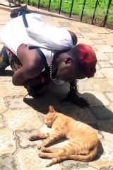 Funny Animal Mashup: Hilarious Cats and Dogs @ReactionHacks @BeastReacts