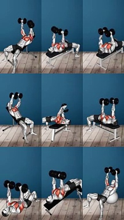 Gym 3