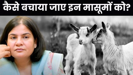 कैसे बचाया जाए इन मासूमों को? || गौरी मौलेखी जी से प्रशांतअद्वैतसंस्था की वार्ता (भाग-5)